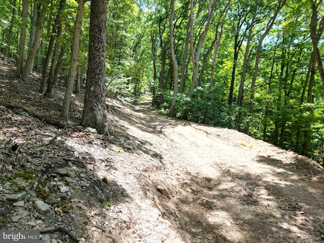 Listing photo 2 for LOT23 Cove Crk, Baker WV 26801