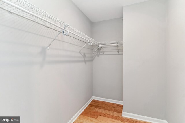 walk in closet with wood-type flooring