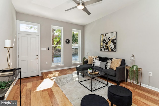 living room with light hardwood / wood-style floors and ceiling fan