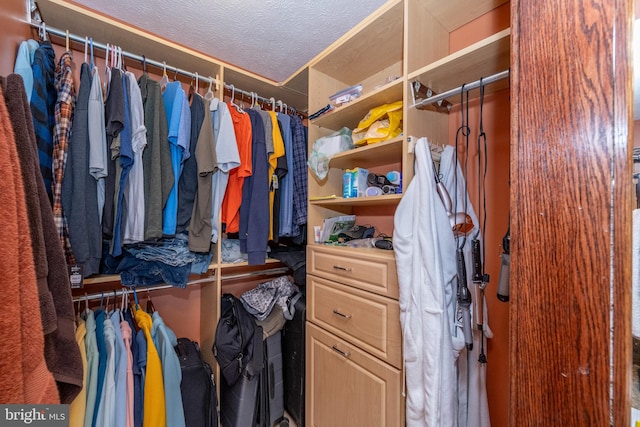 view of walk in closet