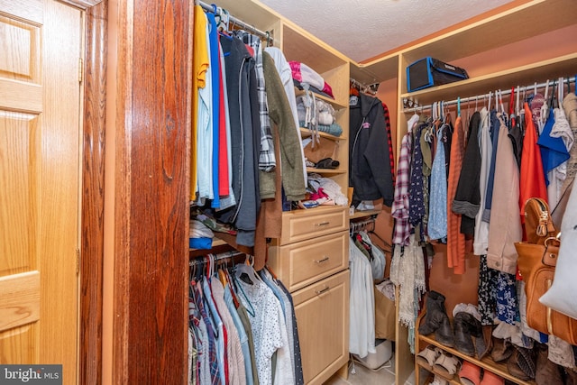 view of walk in closet