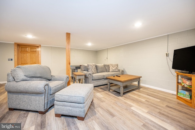 living room featuring light hardwood / wood-style flooring