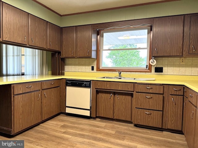 kitchen with backsplash, sink, light hardwood / wood-style flooring, and white dishwasher