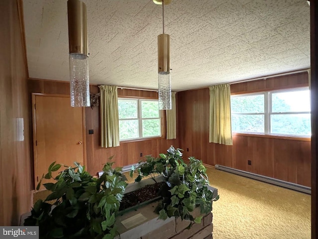 interior space featuring a baseboard radiator and wood walls