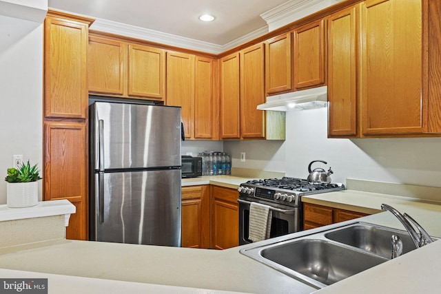 kitchen featuring sink, crown molding, and stainless steel appliances