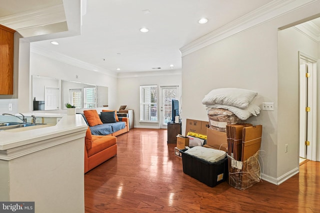 living room with sink, hardwood / wood-style floors, and crown molding