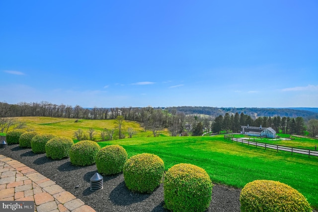 view of yard with a rural view