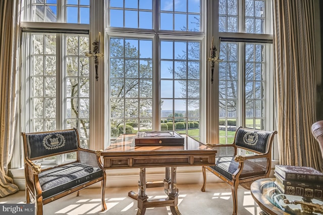 interior space with carpet floors