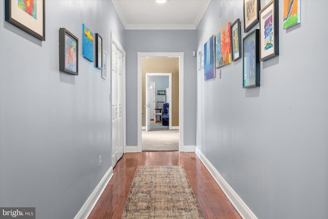 hall with ornamental molding and dark hardwood / wood-style floors