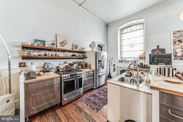 kitchen featuring lofted ceiling, wood counters, dark wood-type flooring, stainless steel appliances, and a sink