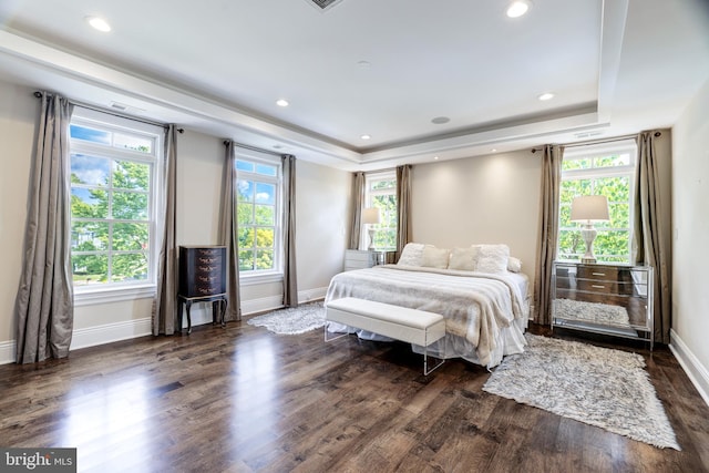 bedroom with dark wood-type flooring and a raised ceiling