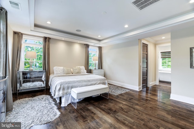 bedroom with a tray ceiling, dark hardwood / wood-style flooring, and multiple windows