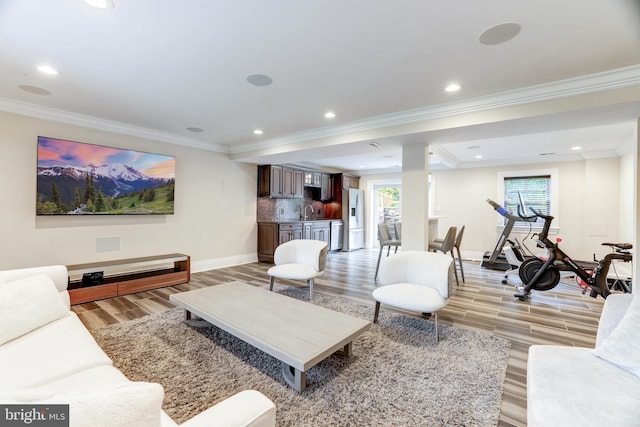 living room with sink and ornamental molding