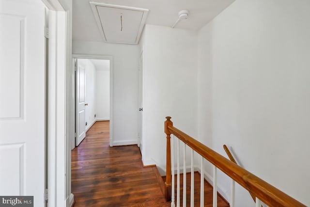 hallway with dark hardwood / wood-style floors