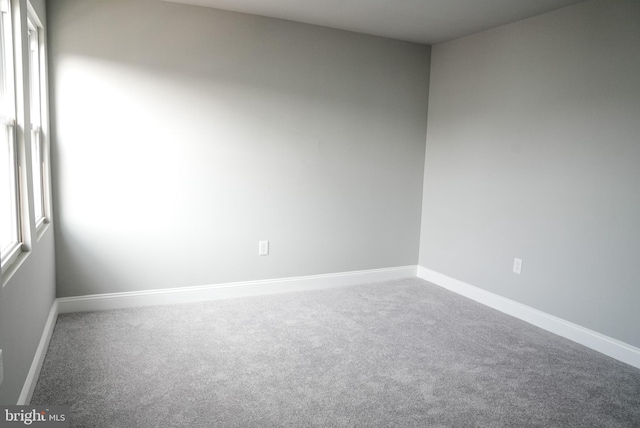 unfurnished room featuring carpet