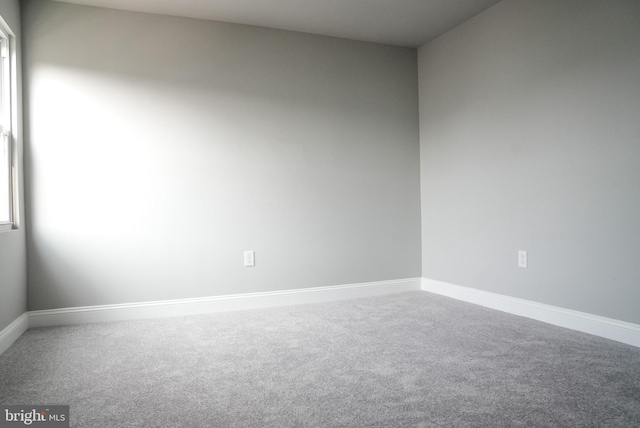 empty room featuring carpet flooring