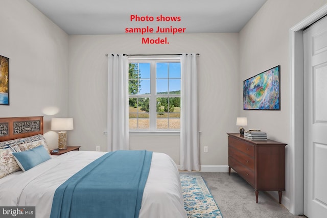 view of carpeted bedroom