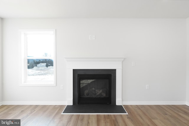 room details featuring a glass covered fireplace, baseboards, and wood finished floors