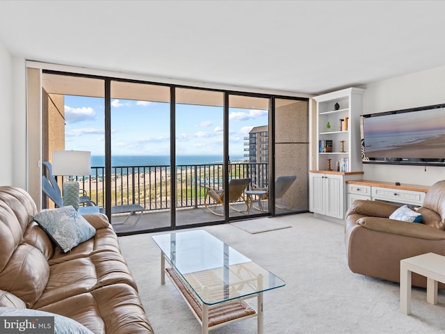 carpeted living room with floor to ceiling windows