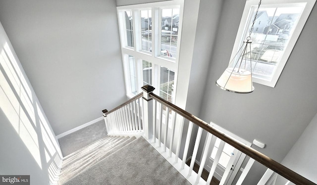 stairway featuring plenty of natural light and carpet floors