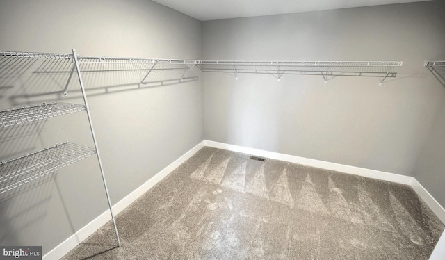 spacious closet with carpet flooring