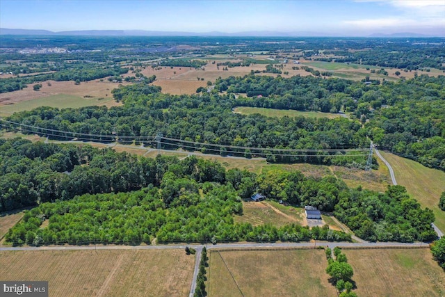 124 Hauptman Ct, Clear Brook, VA 22624