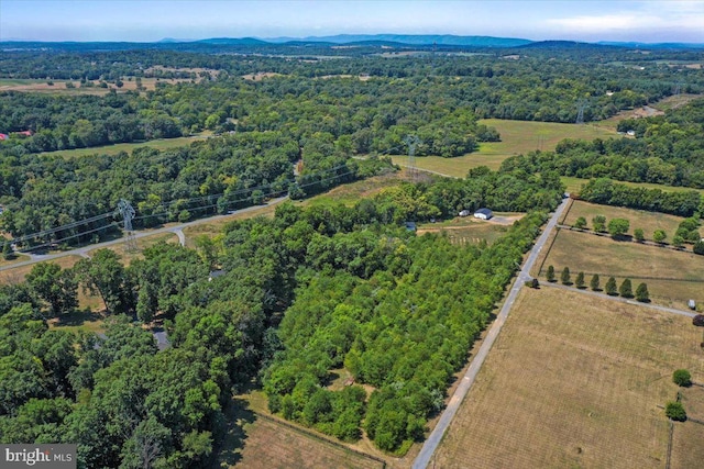 124 Hauptman Ct, Clear Brook, VA 22624