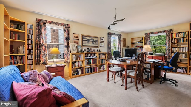 carpeted office space featuring a healthy amount of sunlight