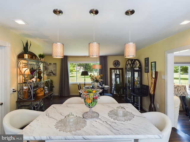 dining space with plenty of natural light and dark hardwood / wood-style floors