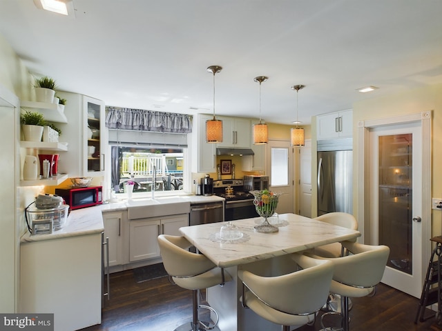 kitchen with dark wood-type flooring, stainless steel appliances, a wealth of natural light, and pendant lighting