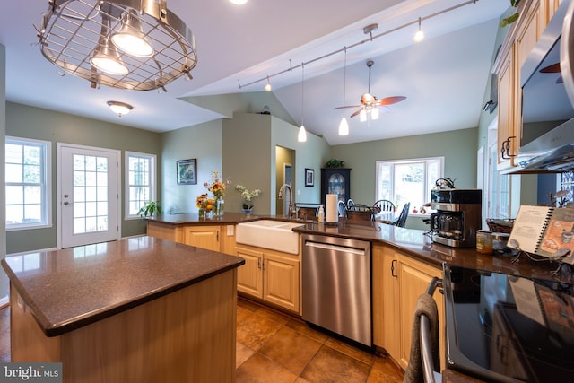 kitchen with stainless steel appliances, rail lighting, sink, a kitchen island, and ceiling fan