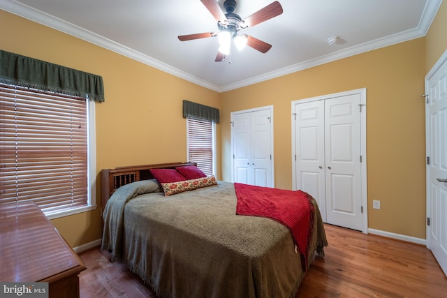 bedroom featuring ceiling fan, two closets, hardwood / wood-style floors, and ornamental molding