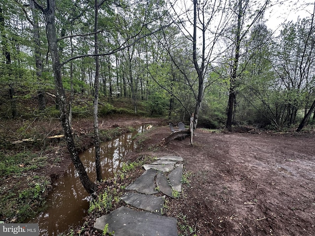 view of local wilderness with a water view