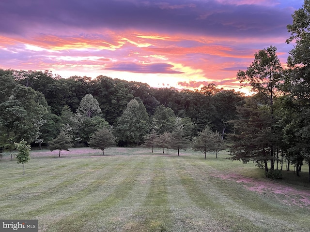 yard at dusk with a rural view