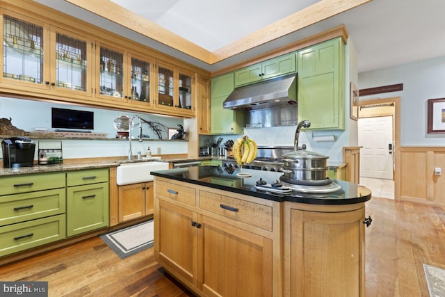 kitchen with sink, light hardwood / wood-style flooring, and a kitchen island