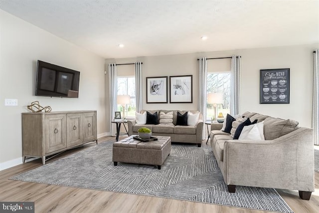 living room featuring light hardwood / wood-style floors