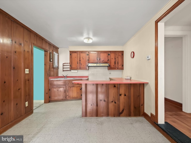 kitchen featuring sink, ornamental molding, and kitchen peninsula