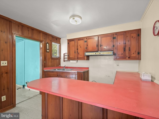 kitchen with ornamental molding, sink, and kitchen peninsula