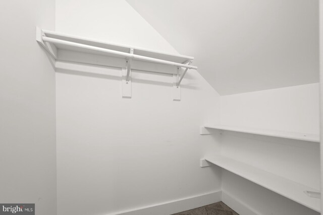 walk in closet featuring lofted ceiling and carpet floors