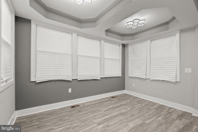 empty room featuring a raised ceiling and light hardwood / wood-style floors