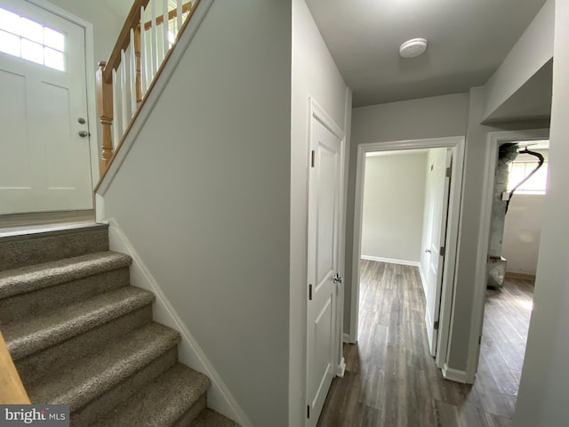 stairs with a wealth of natural light and hardwood / wood-style floors