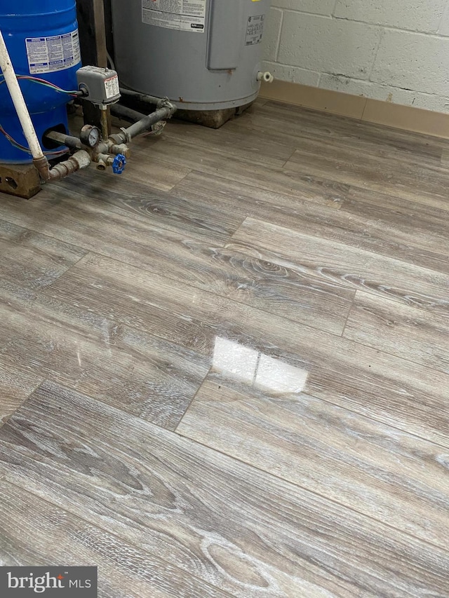 interior details with hardwood / wood-style flooring and water heater