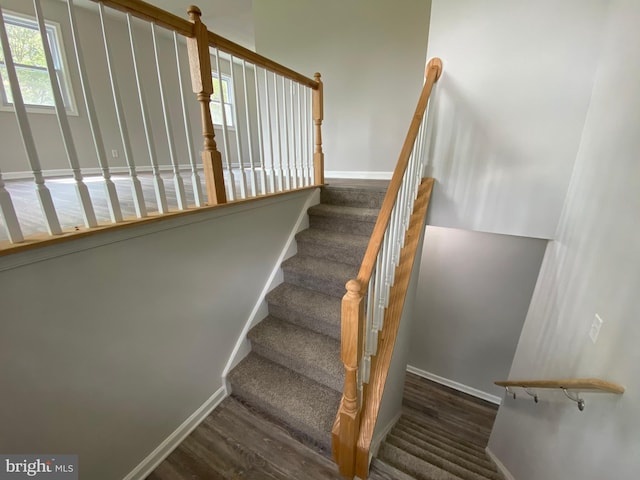 stairway with hardwood / wood-style floors