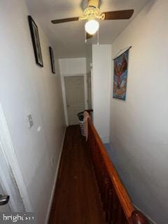 hallway featuring hardwood / wood-style flooring