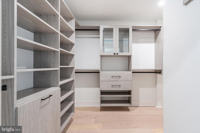 spacious closet featuring light wood-type flooring