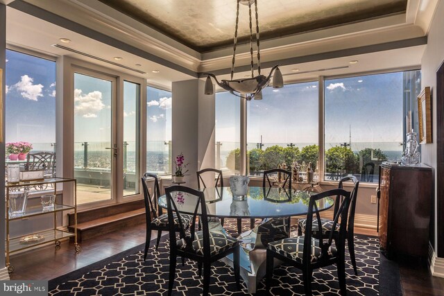 dining room featuring a raised ceiling, hardwood / wood-style flooring, and a healthy amount of sunlight