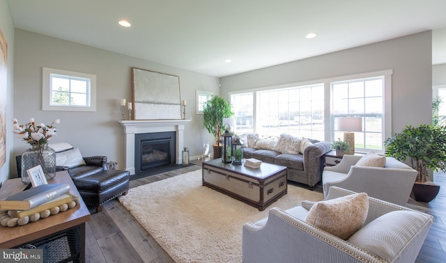 living area with recessed lighting, wood finished floors, and a healthy amount of sunlight