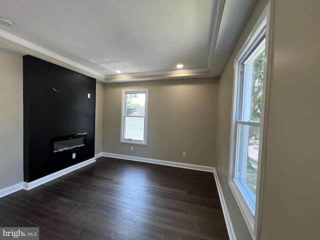 empty room featuring dark wood-type flooring, a raised ceiling, and ornamental molding