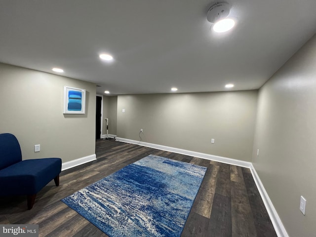 basement featuring dark wood-type flooring