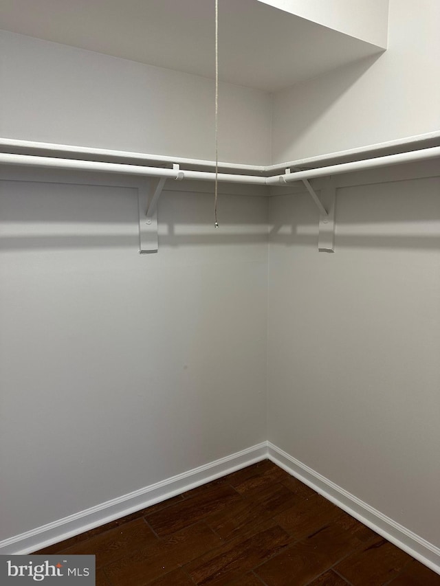 spacious closet featuring dark hardwood / wood-style flooring